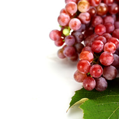 fruits