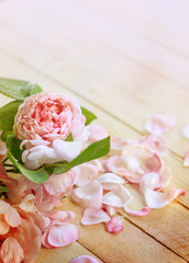 Roses in vintage style