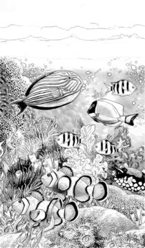 The coral reef - coloring page - illustration