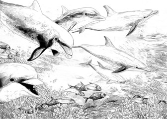 The coral reef - coloring page - illustration © honeyflavour