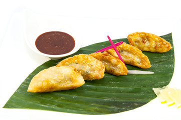 Japanese dumplings