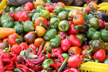 Variety of peppers stall Plasencia Spain