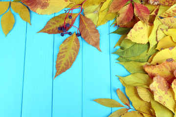 Obraz premium Bright autumn leaves on blue wooden board background