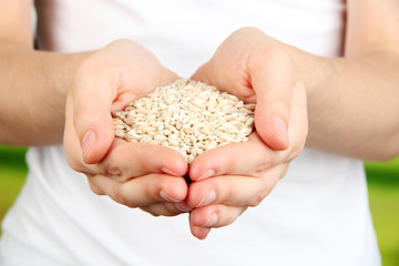 Wheat grain in female hands on natural background