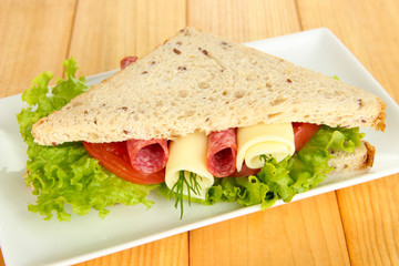 Tasty sandwich with salami sausage and vegetables