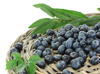 Blueberries on wicker tray isolated on white