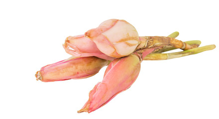 Ginger flower over white background