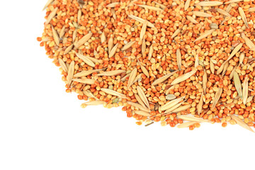 Food for parrots isolated on white