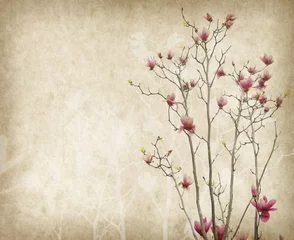 Gordijnen magnolia flower with Old antique vintage paper background © xiaoliangge