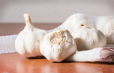 Still life garlic