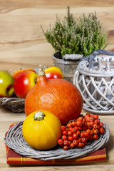 Small and big colorful pumpkins on checkered table cloth. Autumn