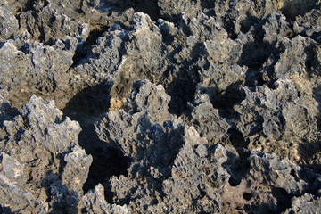 particolare della scogliera a Torre Inserraglio - Salento