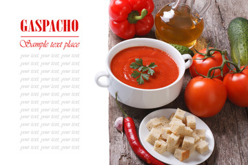 gazpacho soup and ingredients isolated on a wooden table