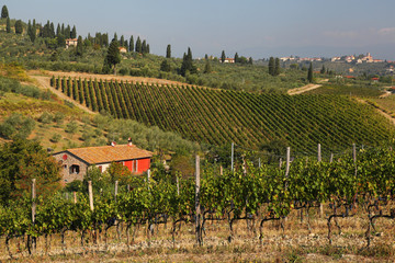 Fototapety  Serce Toskanii z krajobrazami we Włoszech