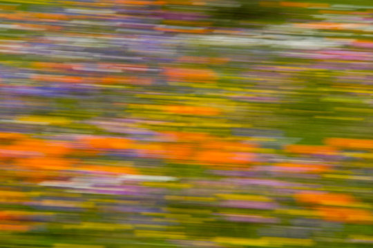 image blur created in camera