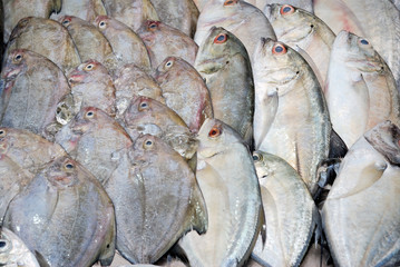 fresh fish