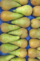 Fresh pears