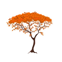 Beautiful tree for your design