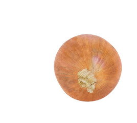 Red onion over white background