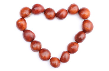 Heart of chestnut on white background