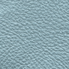 white-blue leather texture closeup.