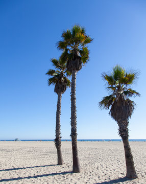 Santa Monica Beach