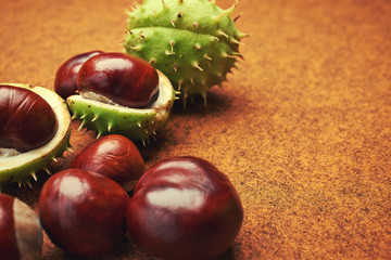 Groups of chestnut nuts on white close up . brown background