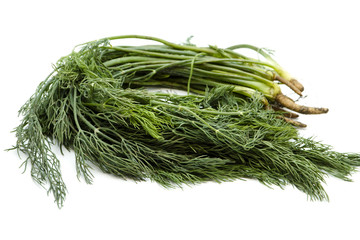 Frischer Grüner Dill auf weißem Hintergrund