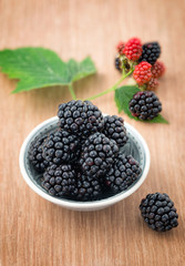 Full bowl of ripe fresh blackberries