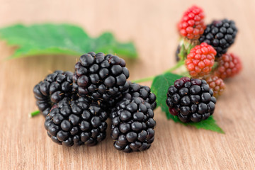 Ripe fresh blackberries