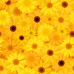 Seamless background with yellow flowers. Vector illustration.