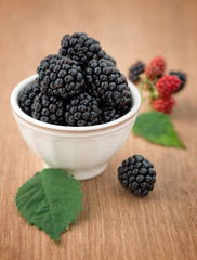 Full bowl of ripe fresh blackberries