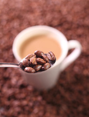 Hot Coffee