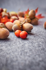 Obraz premium Autumn background