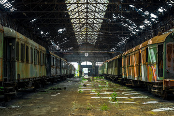 Naklejka premium Cargo trains in old train depot