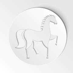 Obraz premium white horse