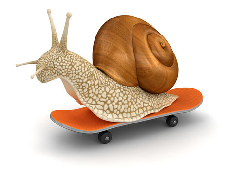 Snail and skateboard (clipping path included)