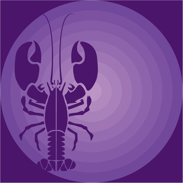 Purple lobster
