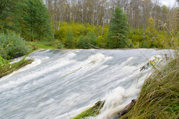 Fototapeta premium rapid river forest
