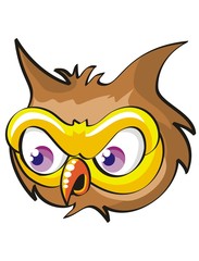 Head of screech owl