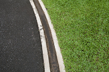 road and green grasses , concept for green road