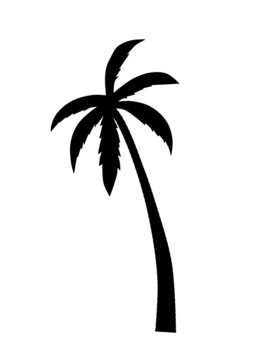 Palm silhouette - vector illustration.
