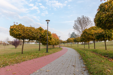 Alley in a park in autumn.