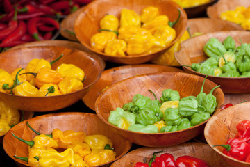 Schalen mit buntem Paprika