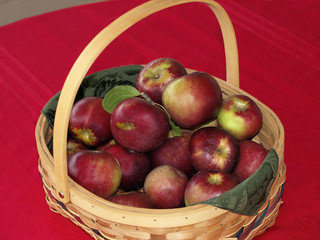 Basket of Apples