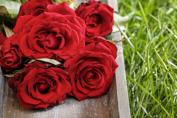 Bunch of red roses on wooden tray in the garden
