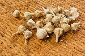 Garlic on the threshing floor