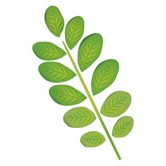 group of leafs