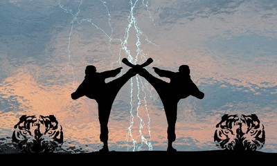 Karatethunder
