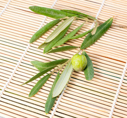 the tree branch an olive lies on a wooden background